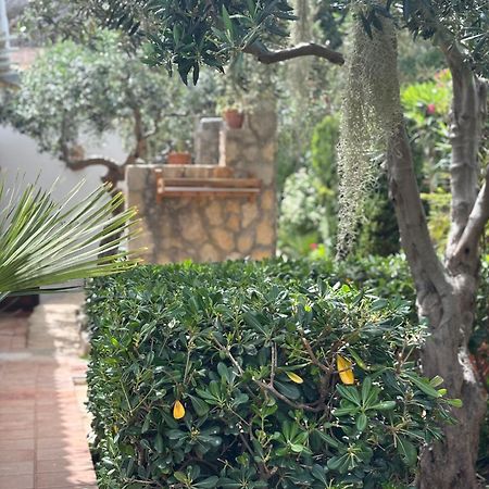 B&B Villa Alba San Vito lo Capo Kültér fotó